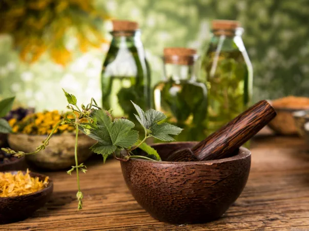 Produits et plantes utilisés en phytothérapie
