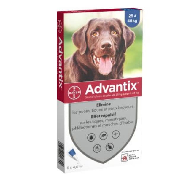 ADVANTIX GRAND CHIEN